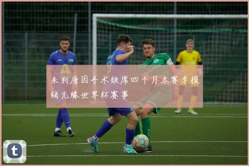 米利唐因手术缺席四个月本赛季报销无缘世界杯赛事